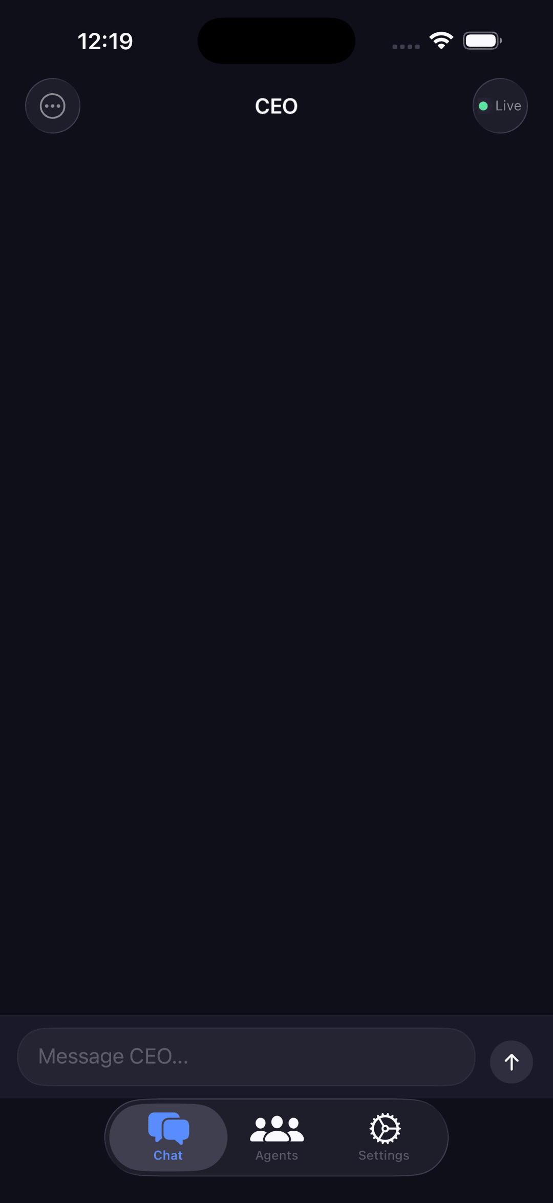 CEO Agent Chat Interface